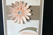 Stampin'Up! Daisy Delight