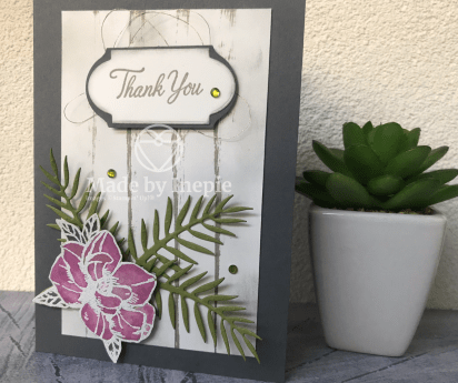 Ontwerp zonder titel (330)