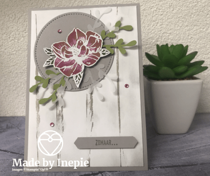 Ontwerp zonder titel (332)