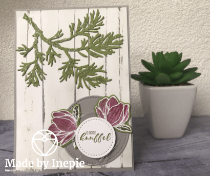 Ontwerp zonder titel (338)