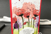 Peaceful Poppies Dsp Stampin' Up!