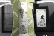 Zany Zebras Stampin' Up!