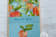 Stampin' Up! You're a Peach dsp